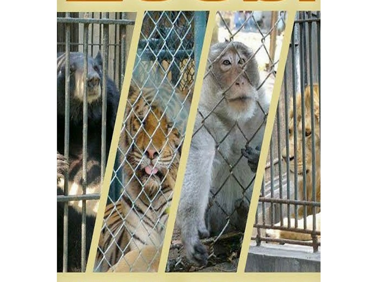 Zoos Are Pitiful Prisons