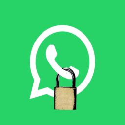 WhatsApp Privacy Policy - Shivendra & Aamna