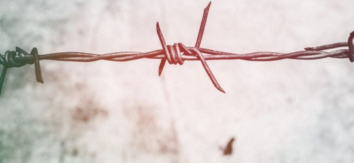 barb-wires-barbed-wire-blur-border-593101