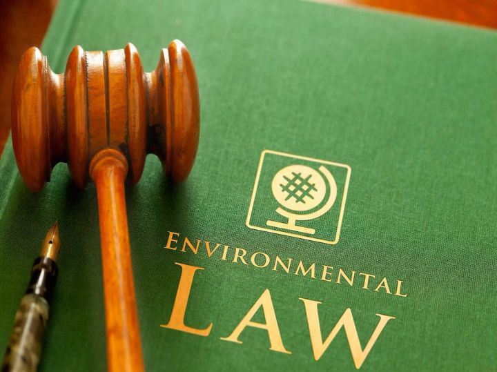 environmental-laws-in-india-an-introduction-jus-corpus