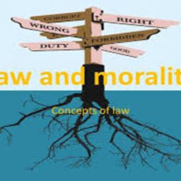 LAW AND MORALITY