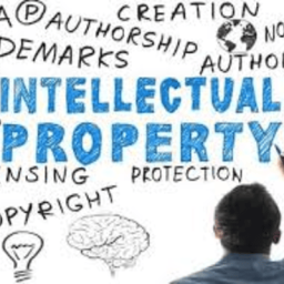 THE ROLE OF INTELLECTUAL PROPERTY RIGHTS IN ACHIEVING SDGS